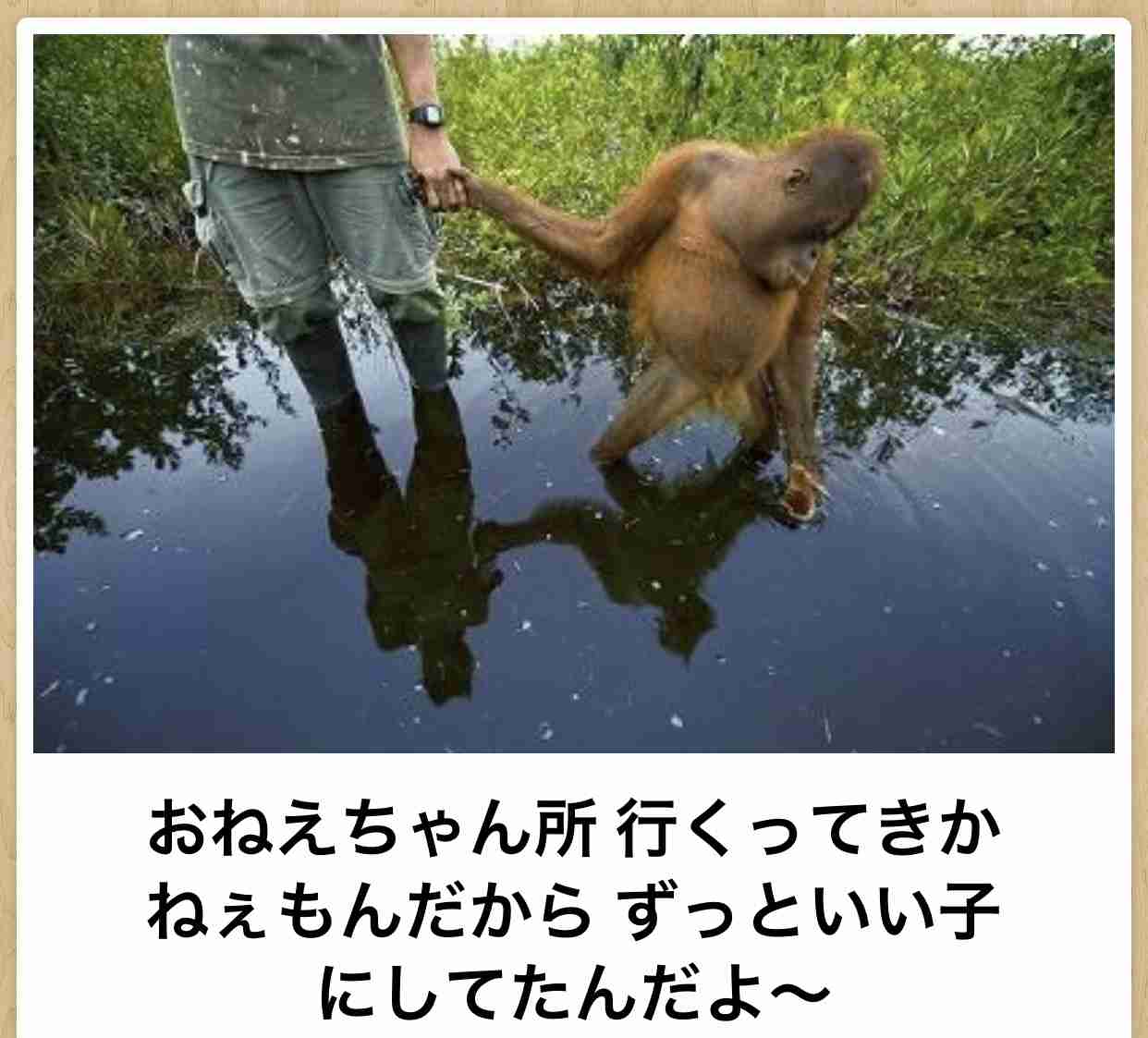 動物のboketeを貼るトピpart4