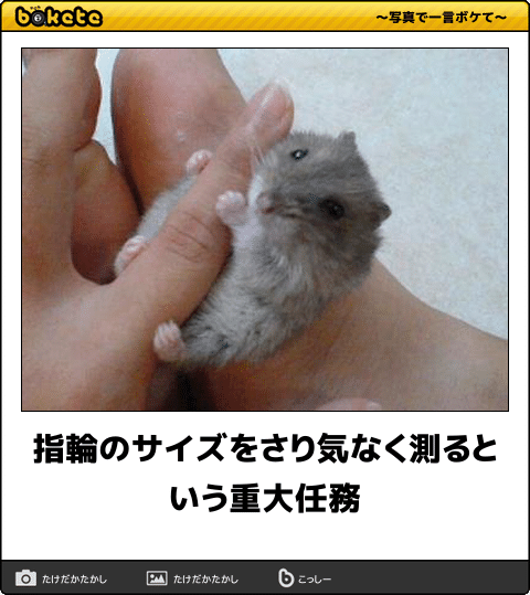 動物のboketeを貼るトピpart4