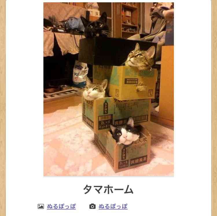 動物のboketeを貼るトピpart4