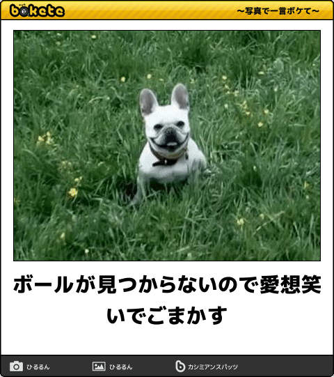 動物のboketeを貼るトピpart4