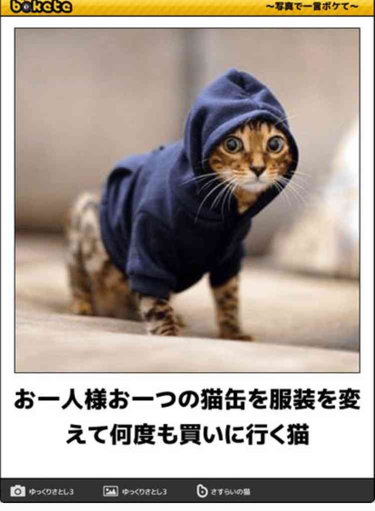 動物のboketeを貼るトピpart4