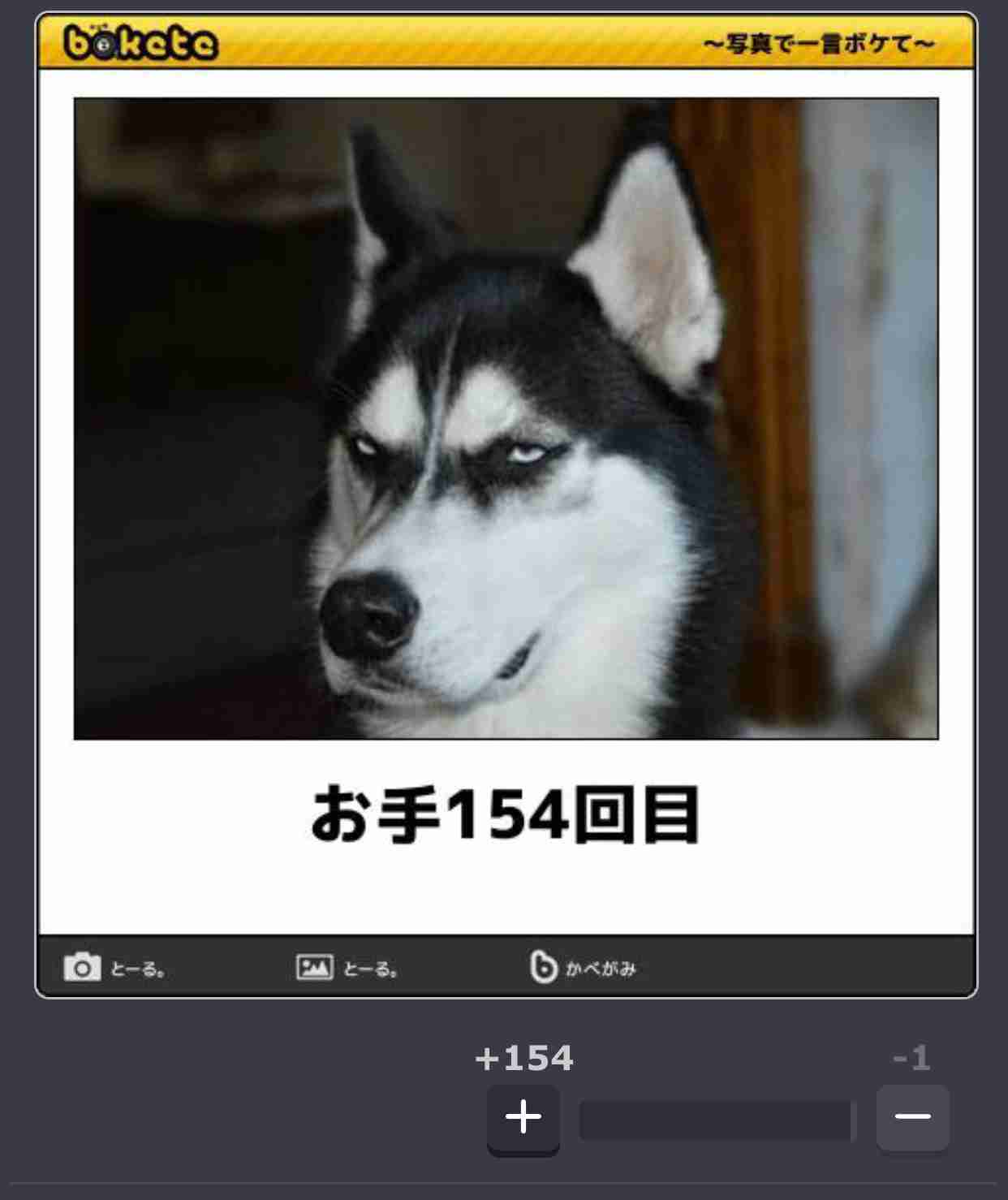 動物のboketeを貼るトピpart4