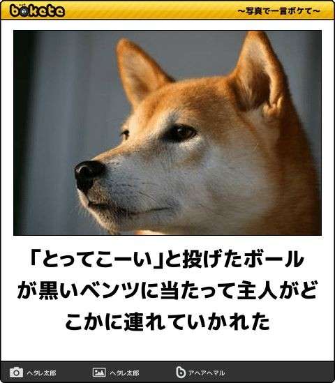 動物のboketeを貼るトピpart4