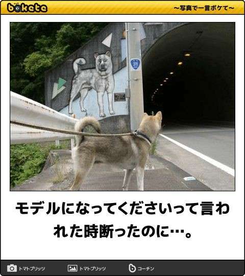 動物のboketeを貼るトピpart4
