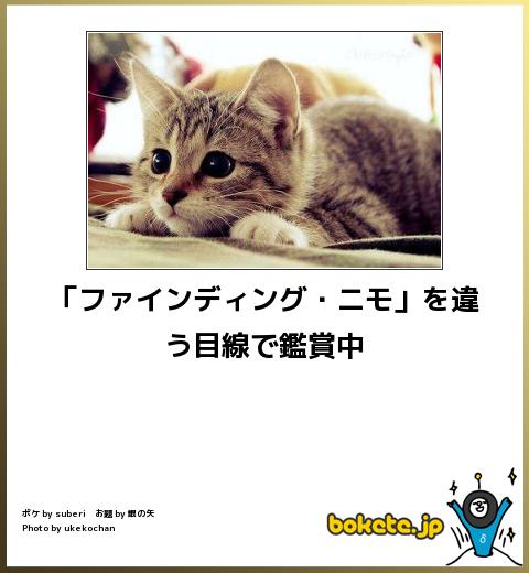 動物のboketeを貼るトピpart4
