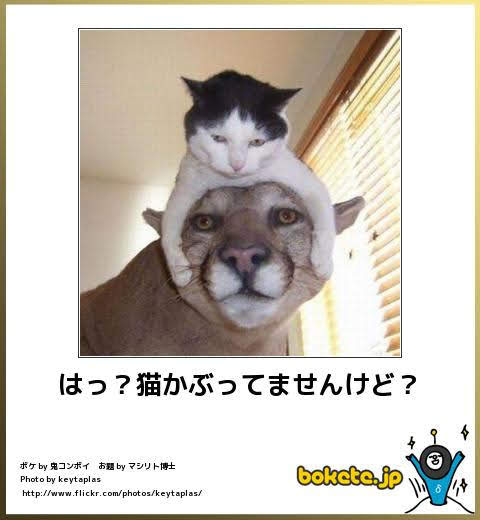 動物のboketeを貼るトピpart4