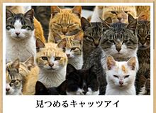 動物のboketeを貼るトピpart4