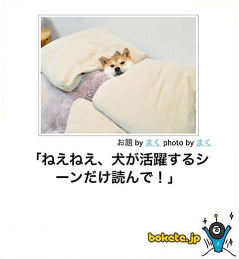 動物のboketeを貼るトピpart4