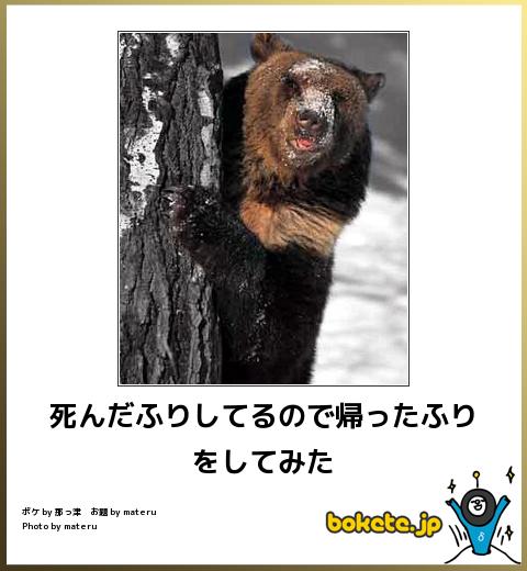 動物のboketeを貼るトピpart4