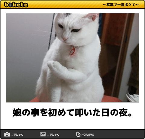 動物のboketeを貼るトピpart4