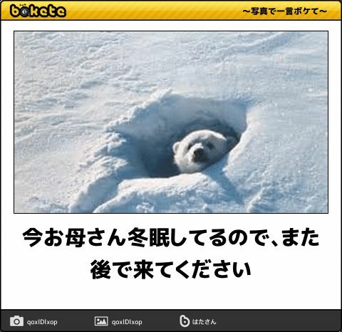 動物のboketeを貼るトピpart4