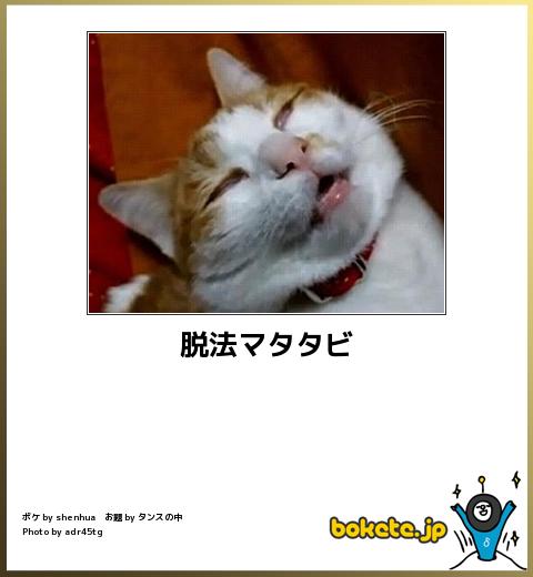 動物のboketeを貼るトピpart4