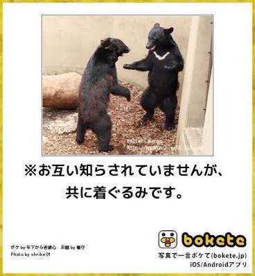 動物のboketeを貼るトピpart4
