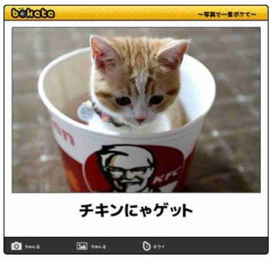動物のboketeを貼るトピpart4