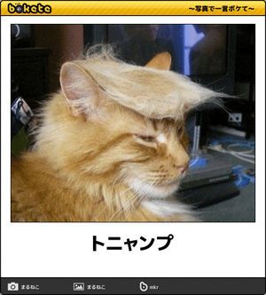 動物のboketeを貼るトピpart4