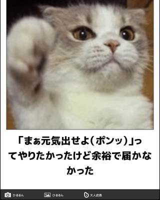 動物のboketeを貼るトピpart4