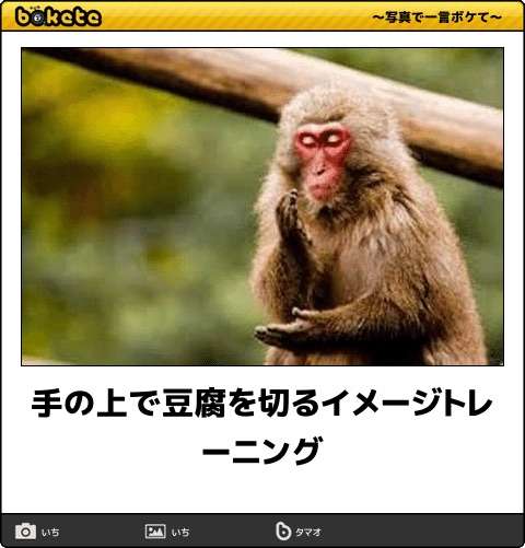 動物のboketeを貼るトピpart4