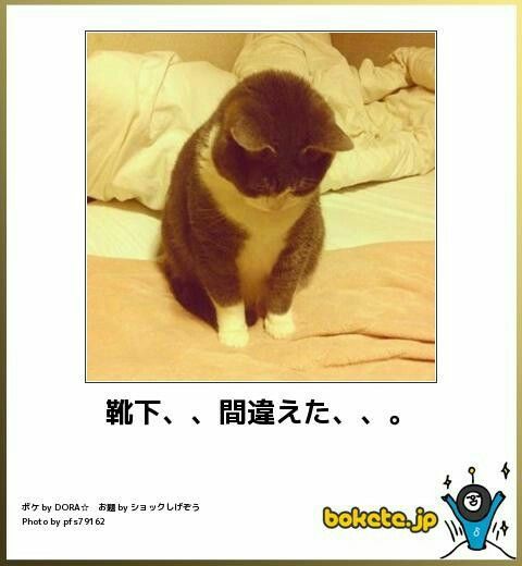 動物のboketeを貼るトピpart4