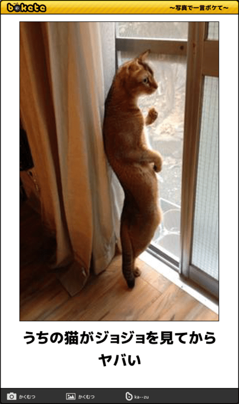 動物のboketeを貼るトピpart4
