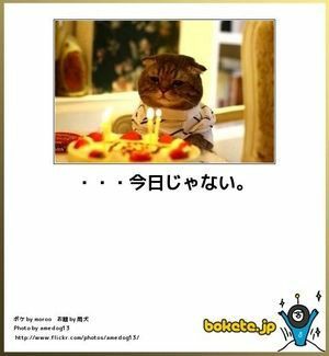動物のboketeを貼るトピpart4