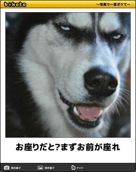 動物のboketeを貼るトピpart4