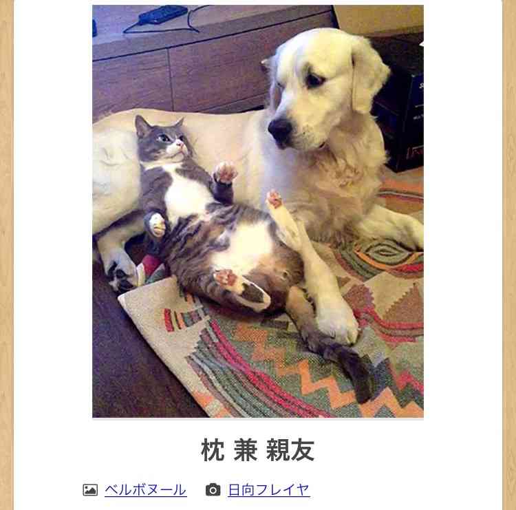 動物のboketeを貼るトピpart4