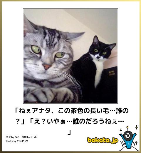 動物のboketeを貼るトピpart4