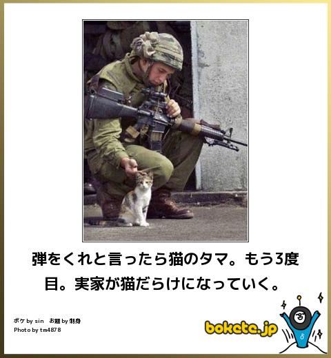 動物のboketeを貼るトピpart4