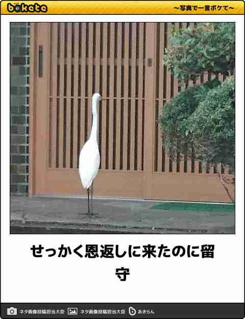 動物のboketeを貼るトピpart4