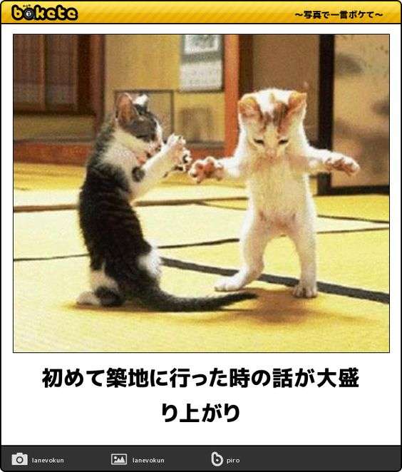 動物のboketeを貼るトピpart4