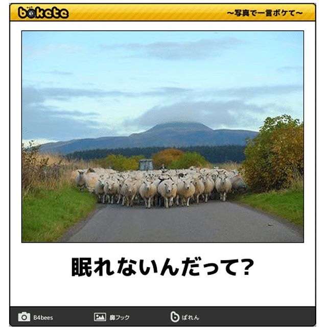 動物のboketeを貼るトピpart4