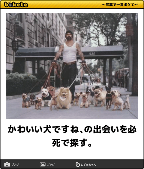 動物のboketeを貼るトピpart4