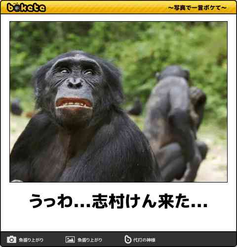 動物のboketeを貼るトピpart4