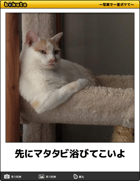動物のboketeを貼るトピpart4