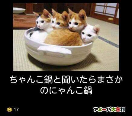 動物のboketeを貼るトピpart4