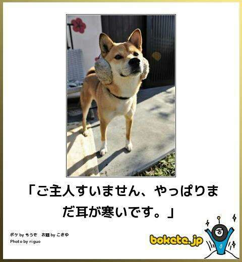 動物のboketeを貼るトピpart4