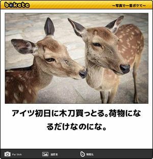 動物のboketeを貼るトピpart4