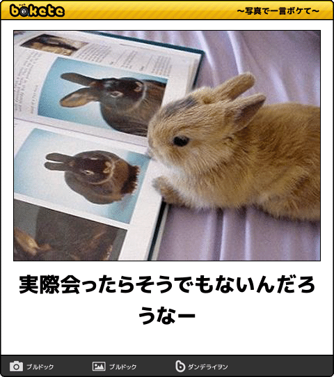 動物のboketeを貼るトピpart4