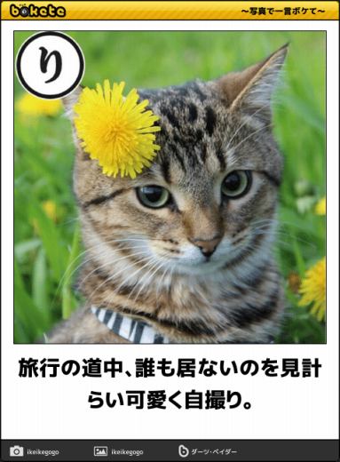 動物のboketeを貼るトピpart4