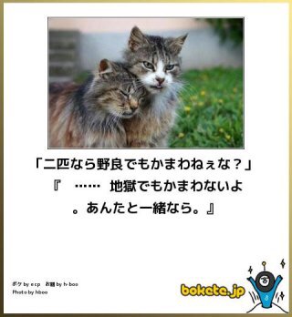 動物のboketeを貼るトピpart4