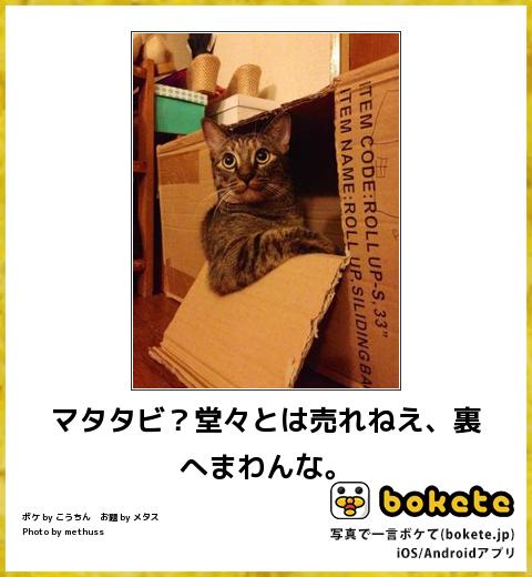 動物のboketeを貼るトピpart4