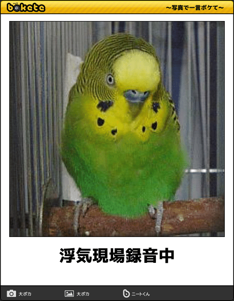 動物のboketeを貼るトピpart4