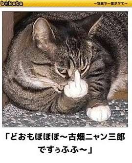 動物のboketeを貼るトピpart4