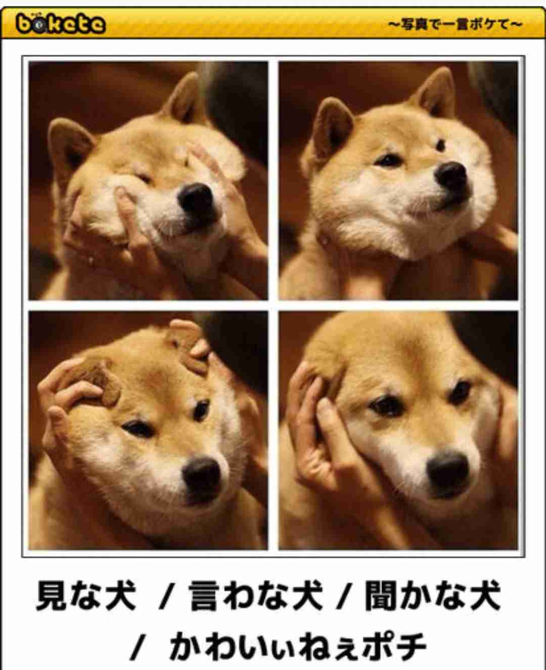 動物のboketeを貼るトピpart4