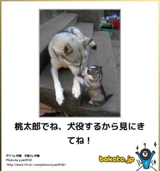 動物のboketeを貼るトピpart4