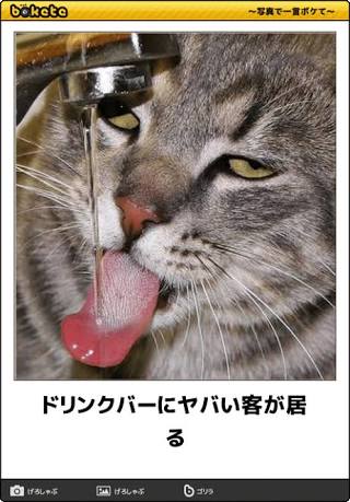 動物のboketeを貼るトピpart4
