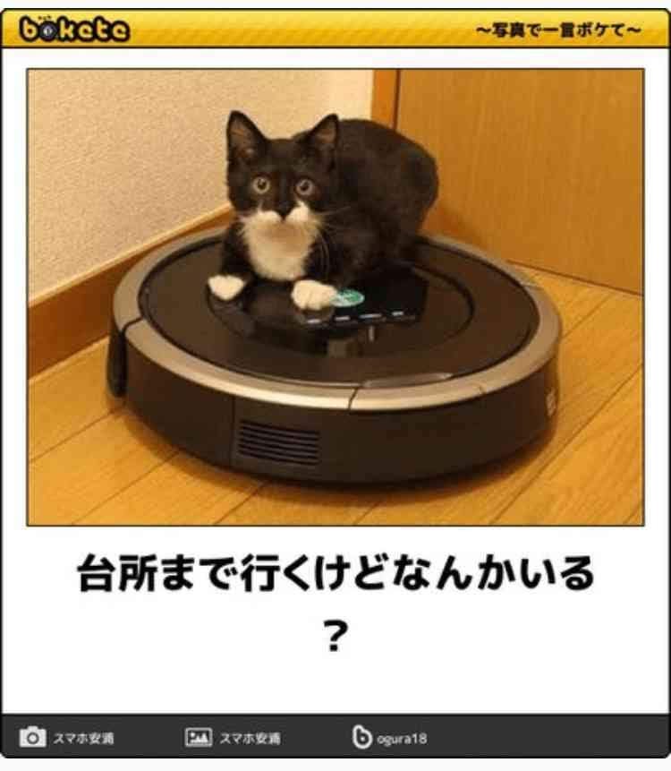 動物のboketeを貼るトピpart4