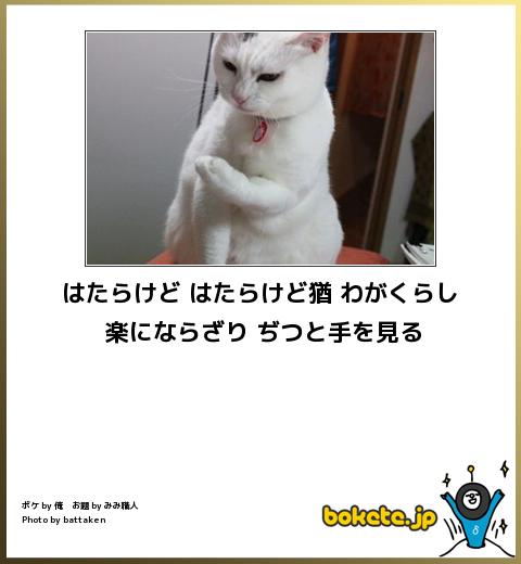動物のboketeを貼るトピpart4