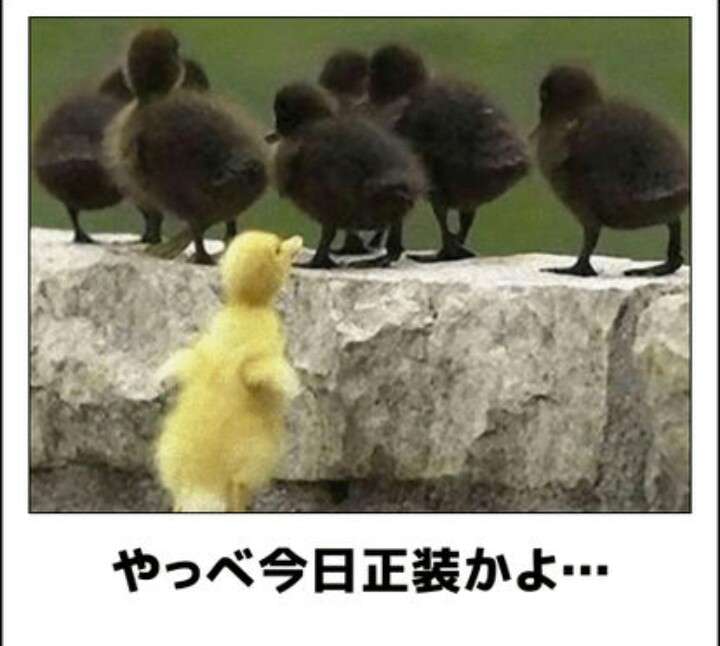 動物のboketeを貼るトピpart4