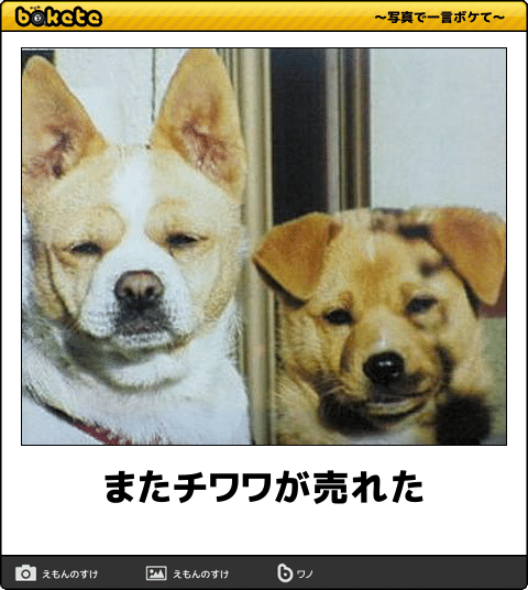 動物のboketeを貼るトピpart4
